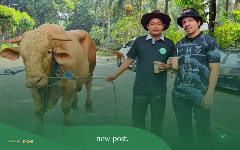 Jual-Sapi-Qurban-Raksasa-di-Jabodetabek